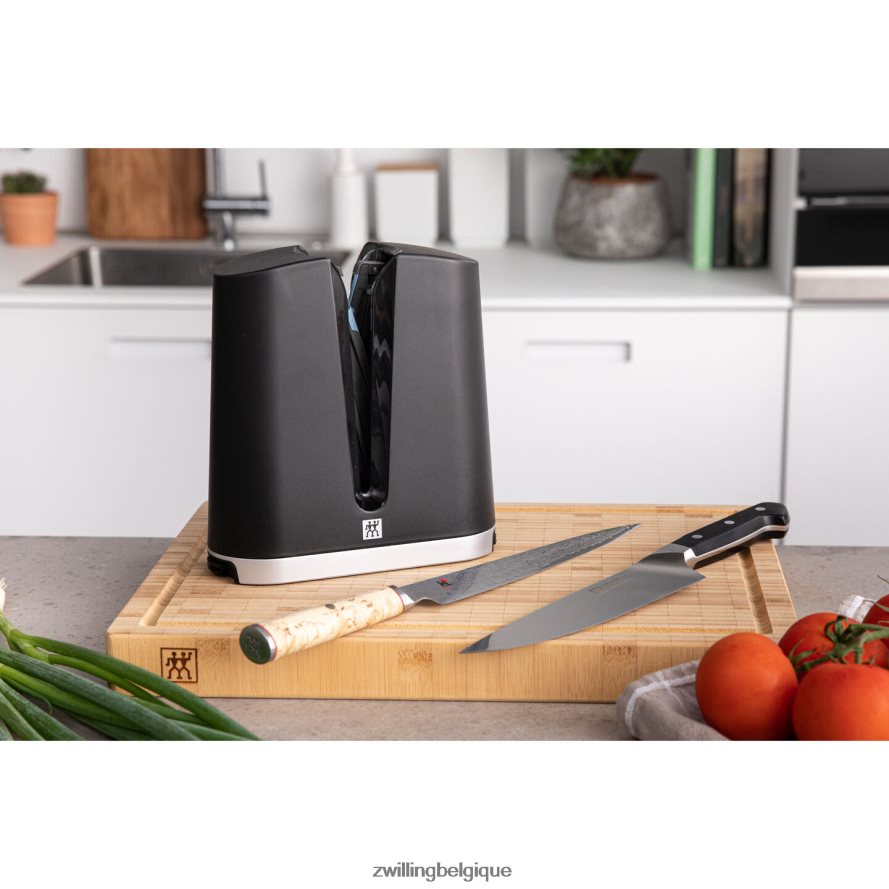 Zwilling entretien des bords affûteur de bords en V coutellerie 206XHX11