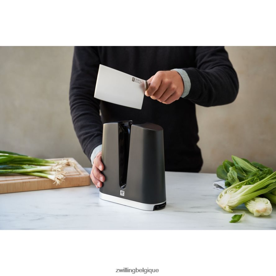 Zwilling entretien des bords affûteur de bords en V coutellerie 206XHX11