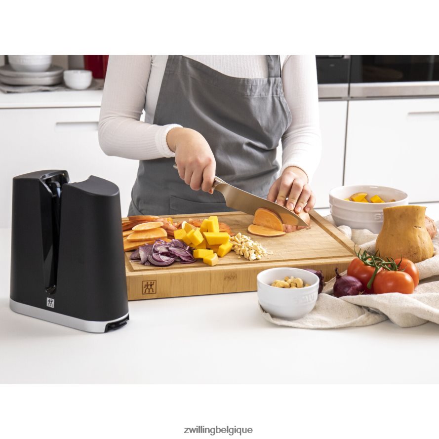 Zwilling entretien des bords affûteur de bords en V coutellerie 206XHX11