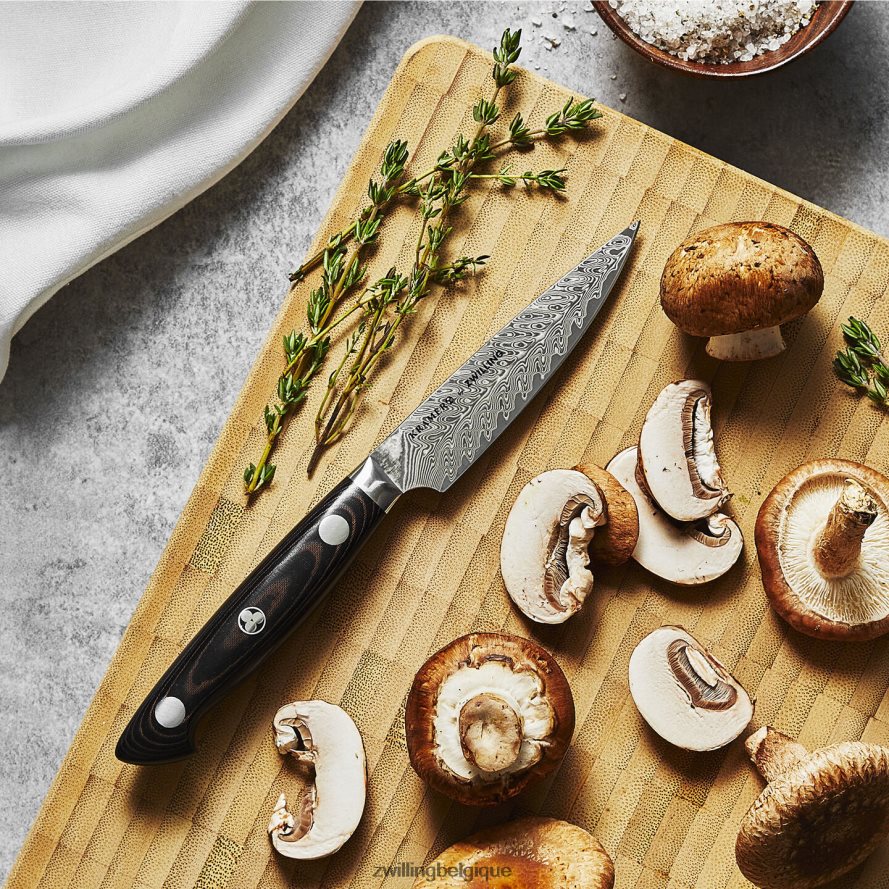 Zwilling Kramer - collection euroline inox damas 3,5 pouces, couteau d\'office coutellerie 206XHX272