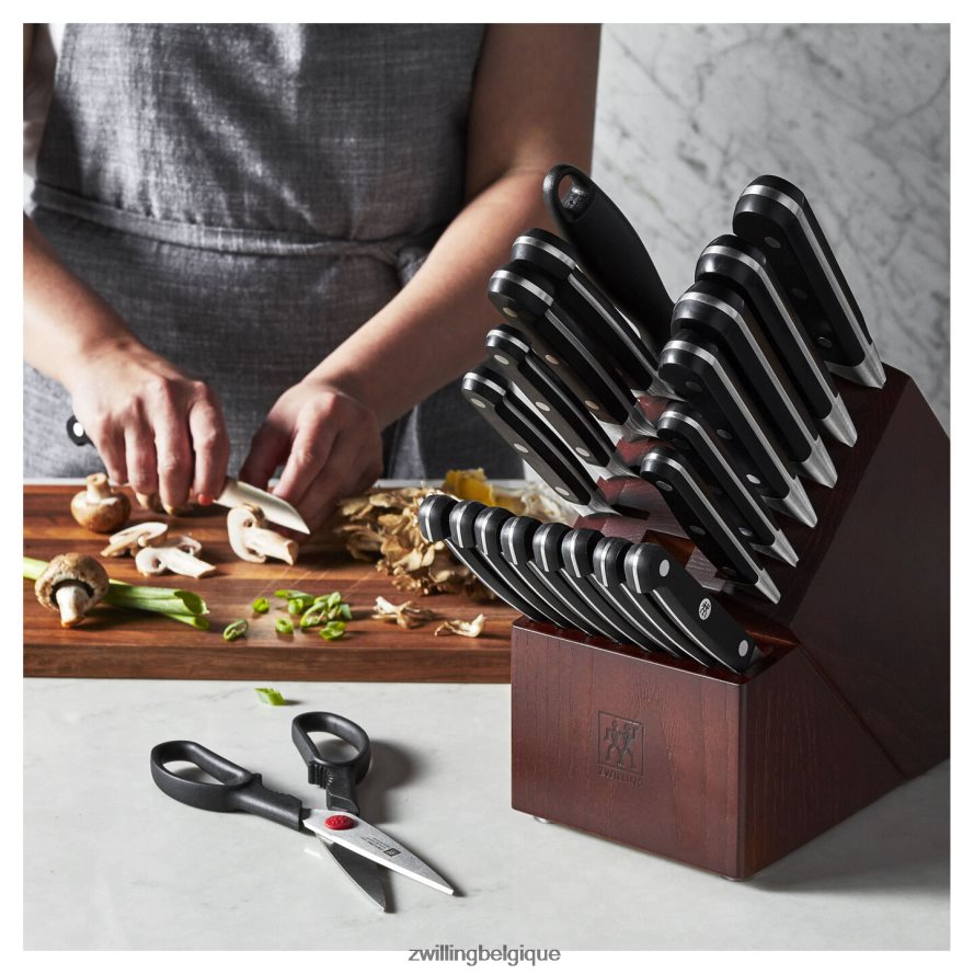 Zwilling pro 22 pcs, jeu de blocs à couteaux, argent-noir coutellerie 206XHX379