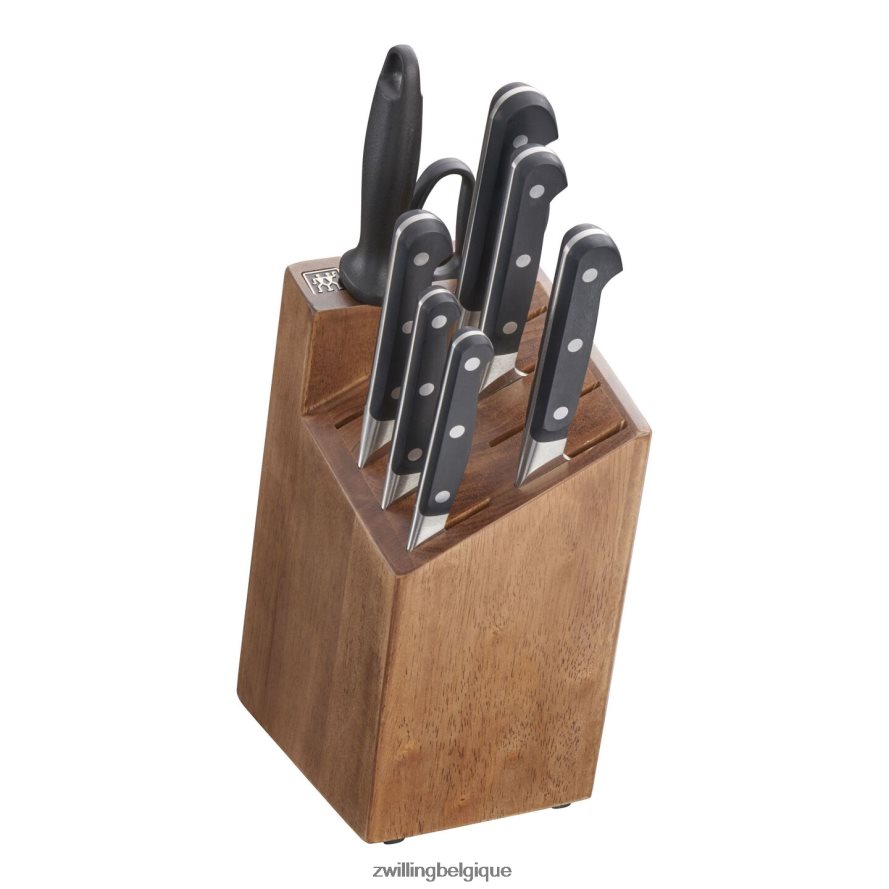 Zwilling pro 9 pièces, jeu de blocs à couteaux coutellerie 206XHX99
