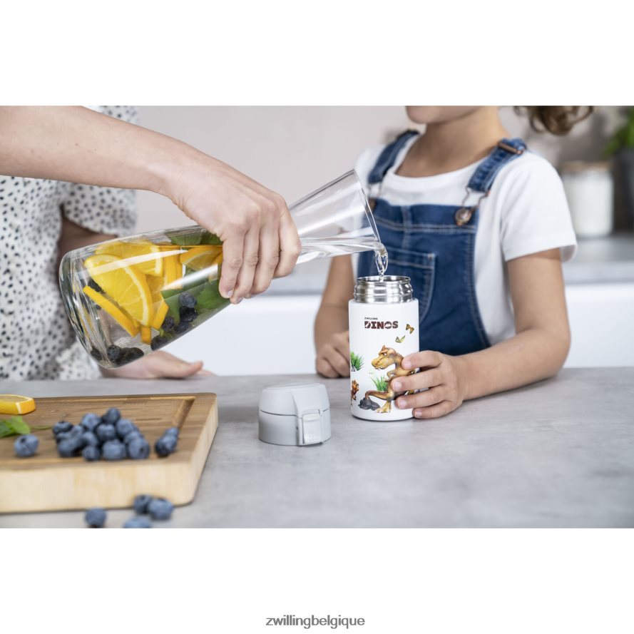 Zwilling dinos gourde dinos, 350 ml, acier inoxydable, blanc-gris cuisine 206XHX534