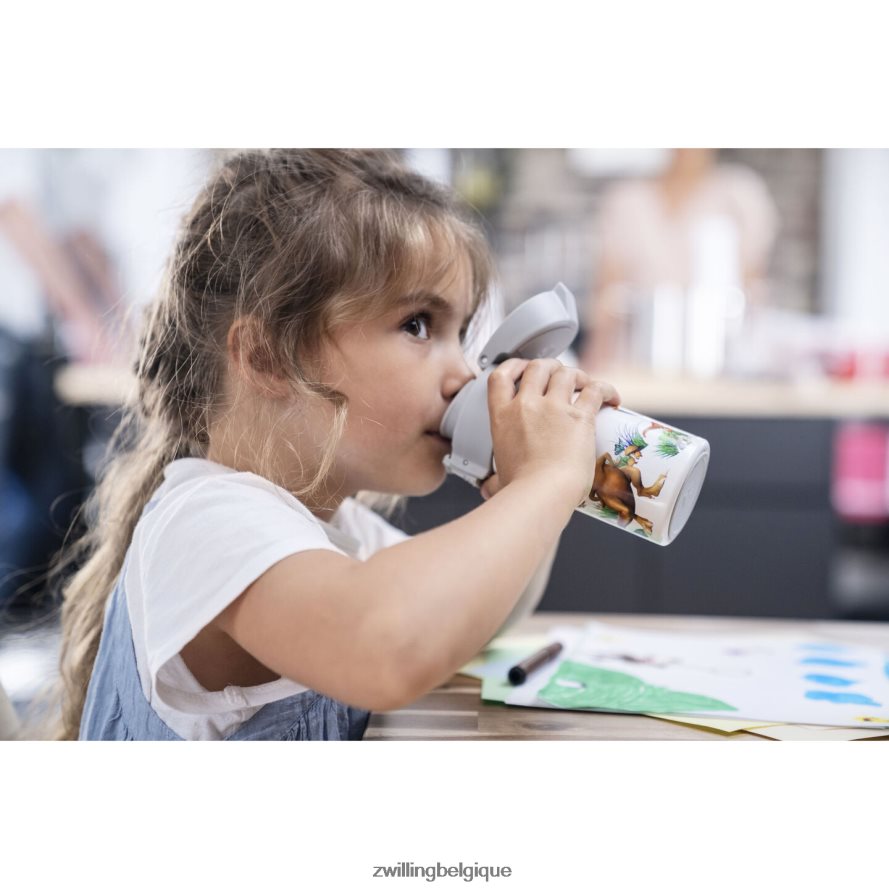 Zwilling dinos gourde dinos, 350 ml, acier inoxydable, blanc-gris cuisine 206XHX534