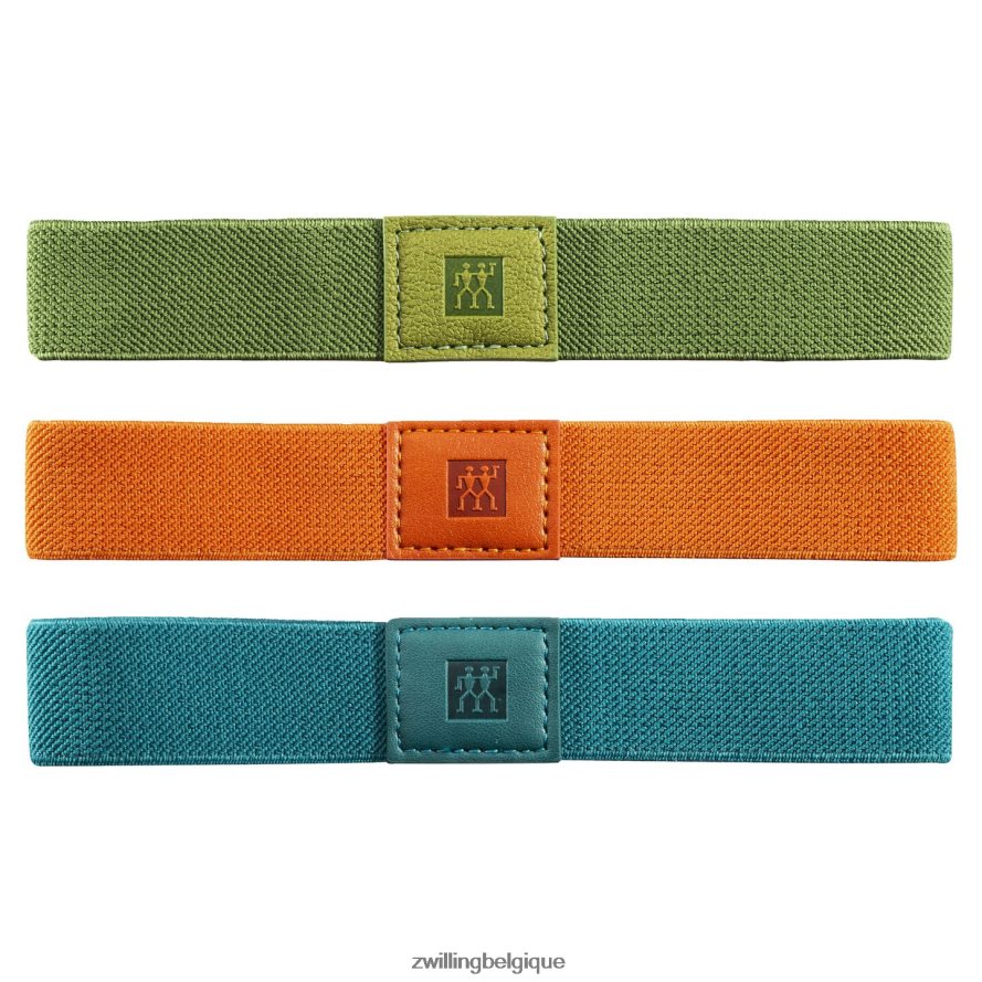 Zwilling Ensemble d'accessoires pour aspirateur Fresh & Save, bandes élastiques, 3 pièces cuisine 206XHX488