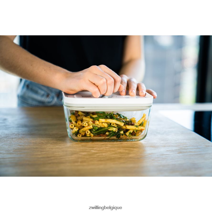 Zwilling Fresh & Save m / 2 pièces récipient sous vide moyen, verre, gris cuisine 206XHX471