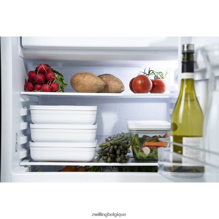 Zwilling boîte à lunch plate sous vide Fresh & Save L, plastique, blanc-gris cuisine 206XHX514