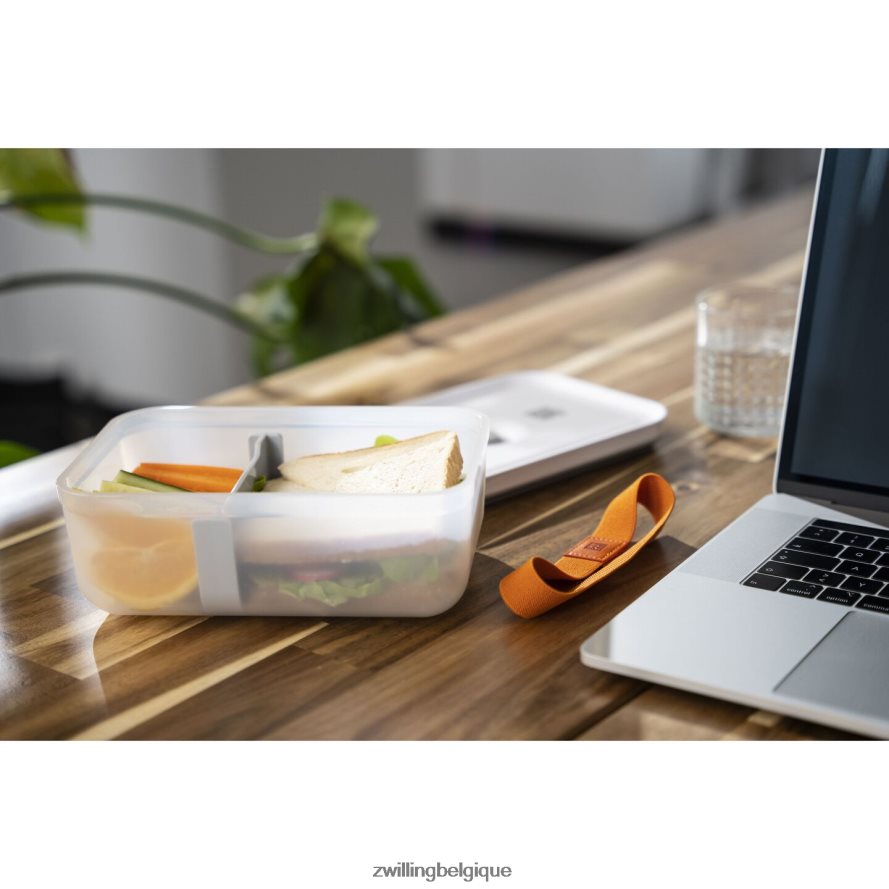 Zwilling boîte à lunch sous vide Fresh & Save L, plastique, gris semi-transparent cuisine 206XHX493