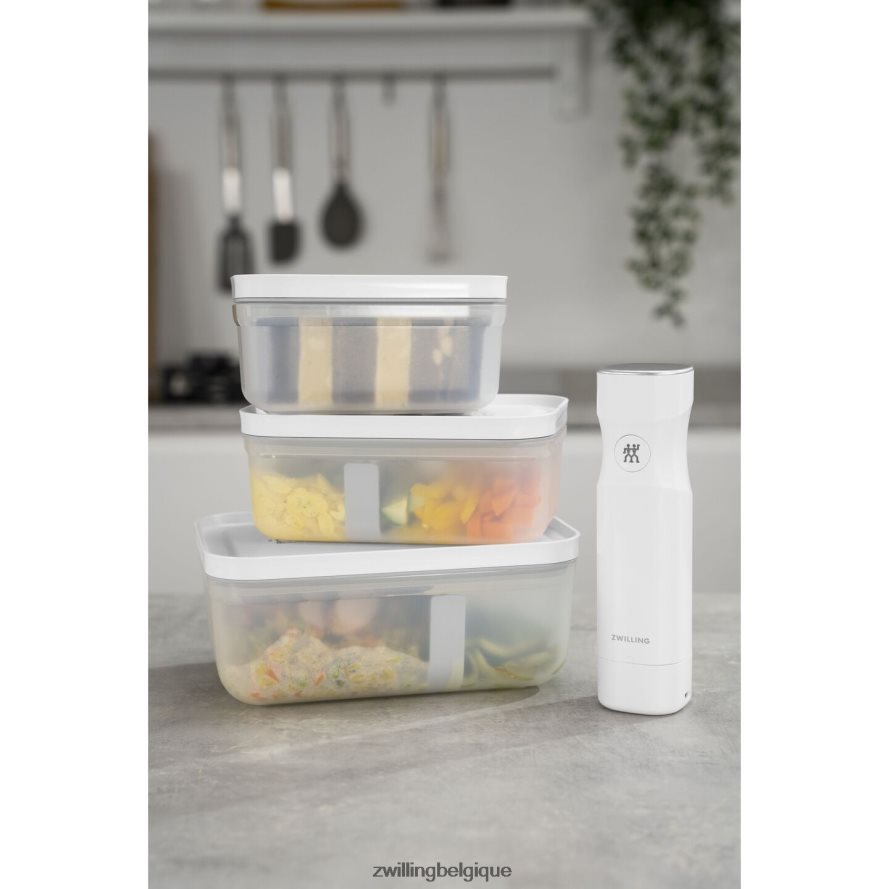 Zwilling boîte à lunch sous vide Fresh & Save L, plastique, gris semi-transparent cuisine 206XHX493