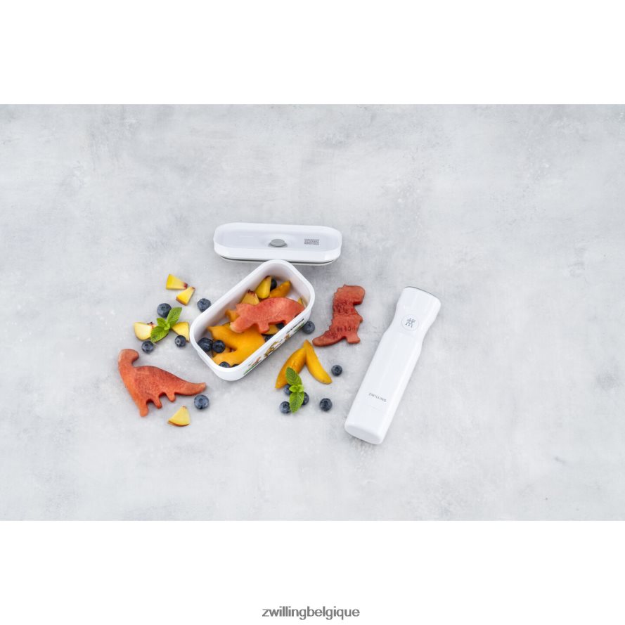 Zwilling boîte à lunch sous vide Fresh & Save S Dinos, plastique, blanc-gris cuisine 206XHX511