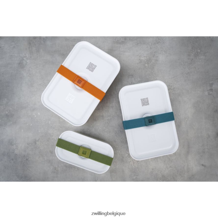 Zwilling boîte à lunch sous vide Fresh & Save S, plastique, blanc-gris cuisine 206XHX501