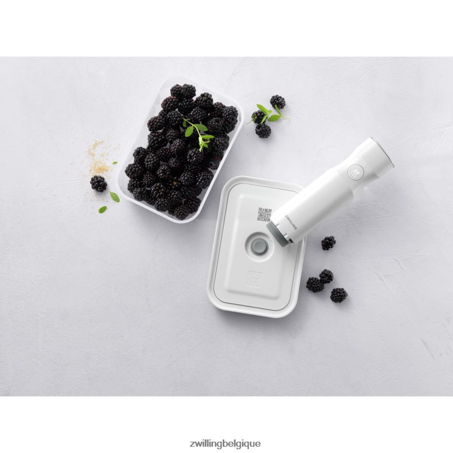 Zwilling boîte sous vide Fresh & Save M, plastique, gris semi-transparent cuisine 206XHX503
