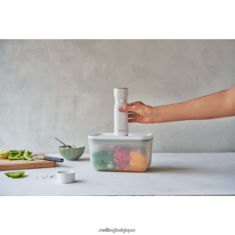 Zwilling fresh & save l récipient sous vide, plastique, gris semi-transparent cuisine 206XHX506