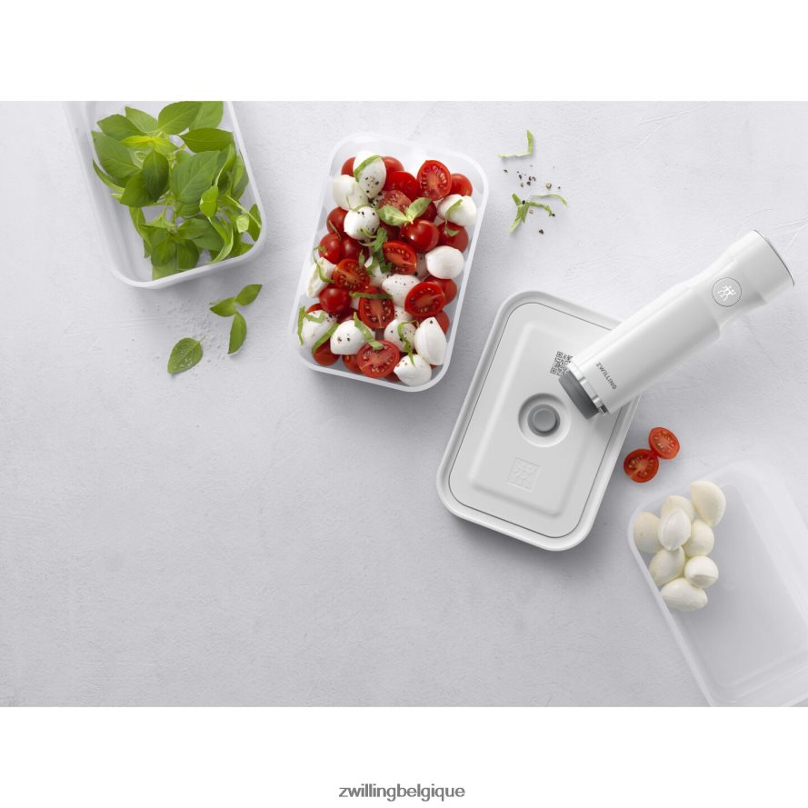 Zwilling fresh & save s/m/l / 3 pièces récipient sous vide, plastique, gris semi-transparent cuisine 206XHX476