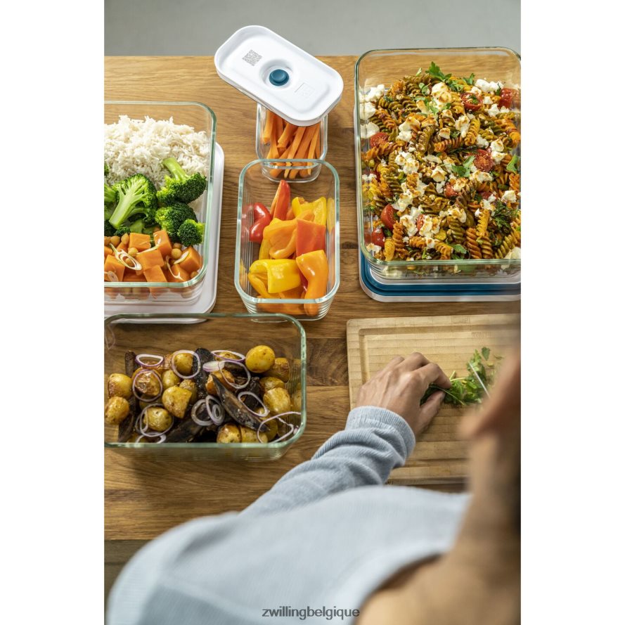 Zwilling plat à gratin sous vide Fresh & Save, verre, la mer cuisine 206XHX498