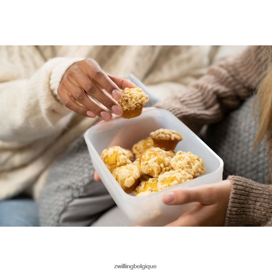 Zwilling récipient frigorifique sous vide Fresh & Save, plastique, gris semi-transparent cuisine 206XHX486