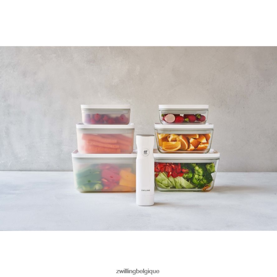 Zwilling récipient sous vide Fresh & Save S, plastique, gris semi-transparent cuisine 206XHX505