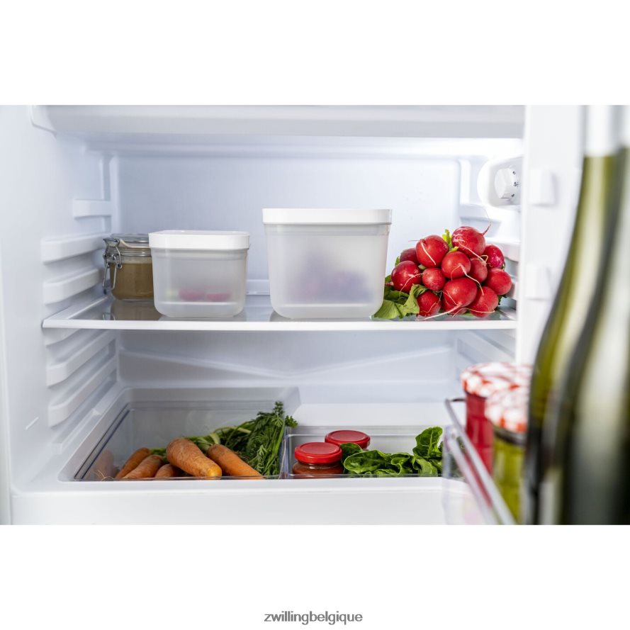 Zwilling set de bacs d\'égouttage Fresh & Save pour récipients en plastique, m/l / 2 pièces cuisine 206XHX494