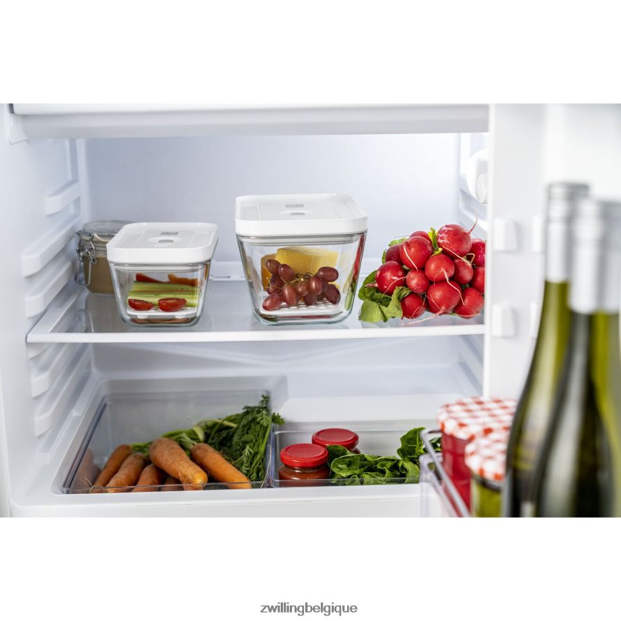 Zwilling set de égouttoirs Fresh & Save pour récipients en verre, m/l / 2 pièces cuisine 206XHX466