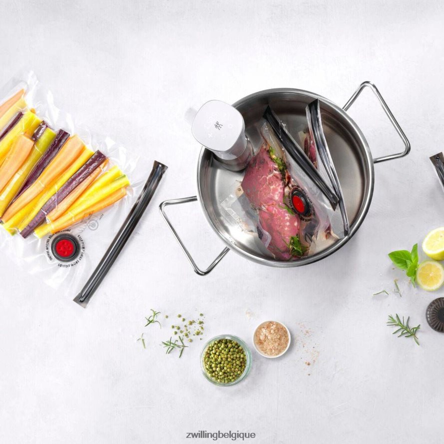 Zwilling coffret de démarrage Fresh & Save sous vide cuisine 206XHX527